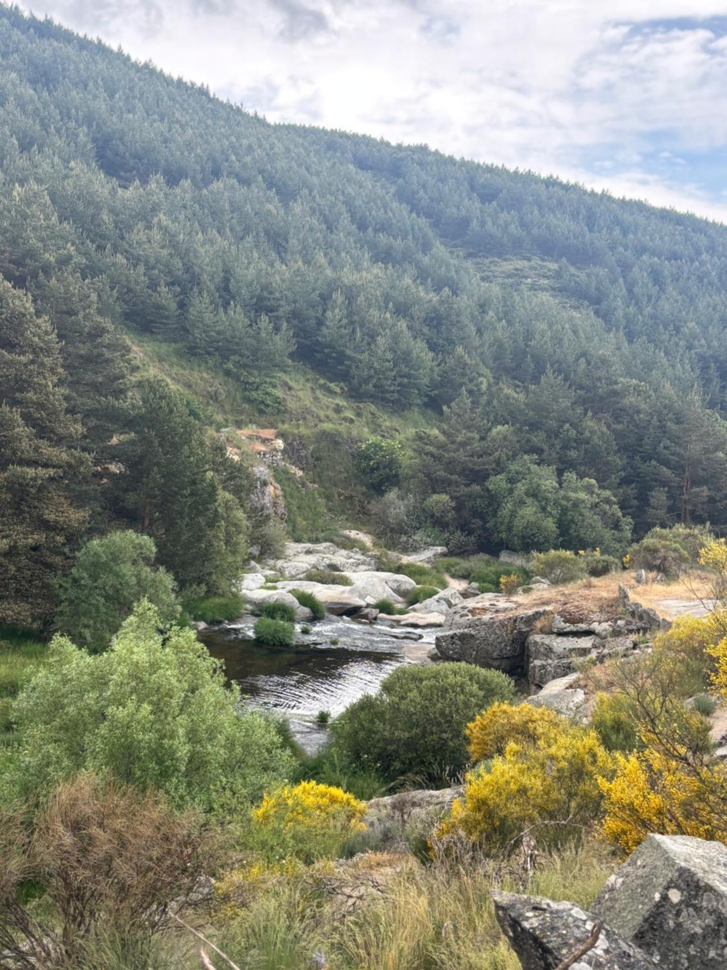 Villa De Gredos Navarredonda de Gredos Kültér fotó